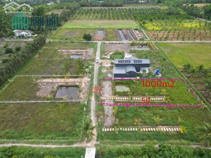 CHÍNH CHỦ CẦN BÁN LÔ ĐẤT GIÁ LỖ NGAY LƯƠNG HÒA - BẾN LỨC - LONG AN