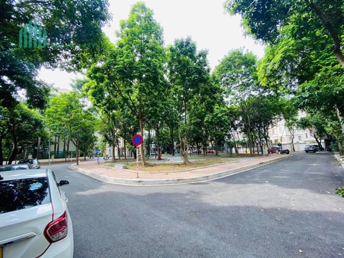 Bán biệt thự trung tâm Cầu Giấy - KĐTM Dịch Vọng - mặt phố - KD -công viên- 310m - mặt tiền 15m