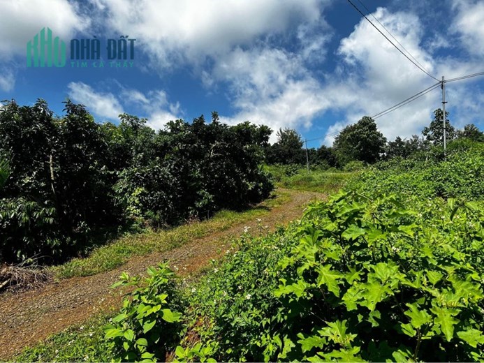 ĐẤT ĐẸP - GIÁ TỐT - Cần Bán Lô Đất Vị Trí Đắc Địa Tại Huyện Bảo Lâm, Lâm Đồng