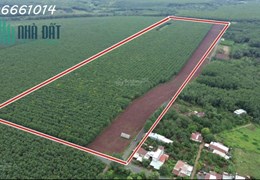 Bán 220m2 đất mặt tiền đường liên xã, Phước An, Hớn Quản, Bình Phước
