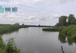 Chính chủ cần bán 6977m2 Xã Biển Bạch Đông, Huyện Thới Bình, giá đầu tư