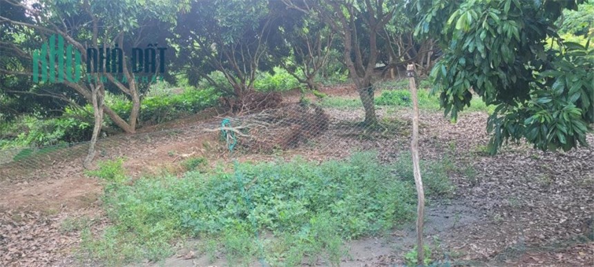 ĐẤT ĐẸP - GIÁ TỐT - Cần Bán Lô Đất Vị Trí Đắc Địa Tại xã Hòa Ninh, huyện Long Hồ, Vĩnh Long