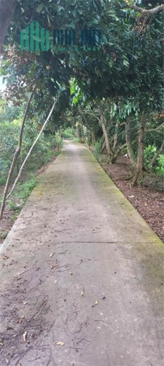 ĐẤT ĐẸP - GIÁ TỐT - Cần Bán Lô Đất Vị Trí Đắc Địa Tại xã Hòa Ninh, huyện Long Hồ, Vĩnh Long
