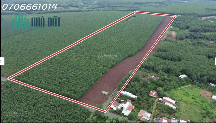 Cần bán 220m2 đất mặt tiền đường liên xã, Phước An, Hớn Quản, Bình Phước