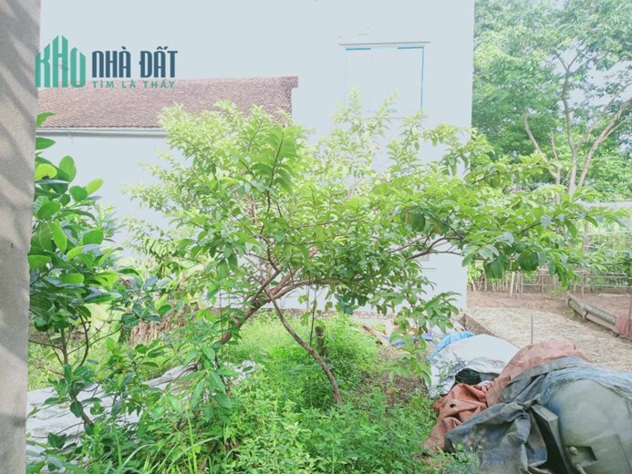 Bán đất thổ cư tổ 11 phường Đồng Mai, Hà Đông, 50m2 đường ô tô giá nhỉnh 2 tỷ