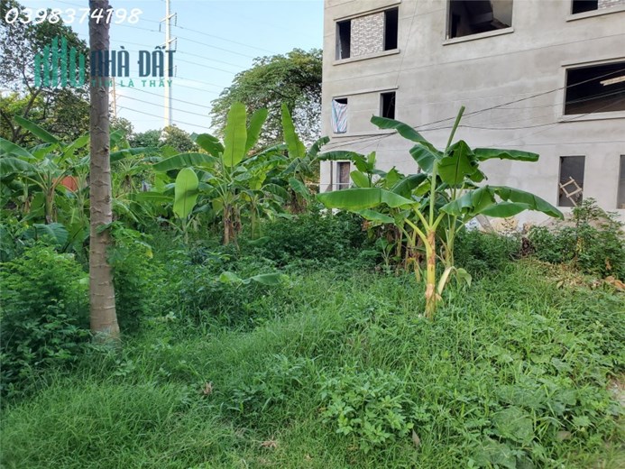 Đất Vân trì, Đông Anh đường xe máy quay đầu morrning lùi nông giá tốt