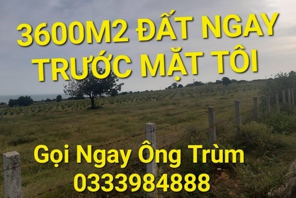 3600m2 có 9 tỷ x Ngyễn Thị Rành Trung Lập Hạ Củ Chi TPHCM