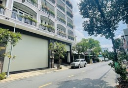 Bán Nhà Mặt Phố Đường Lê Sao, Khu Họ Lê Quận Tân Phú, Đường 16m, Khu Vip, Kinh Doanh Tốt, Diện Tích