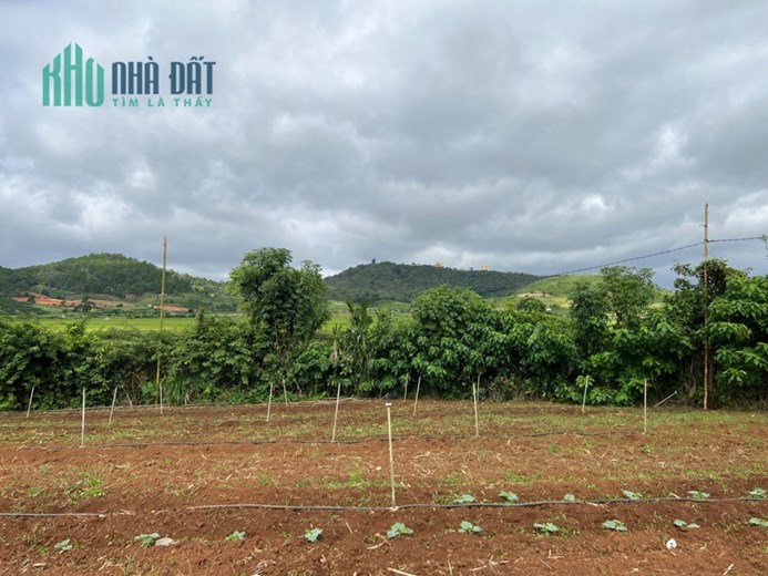 ♨ ♨ Đất nghỉ dưỡng giá rẻ 3850m giá chỉ 2 tỷ có view tháp Kinh Luân lớn nhất Thế giới ♨ ♨