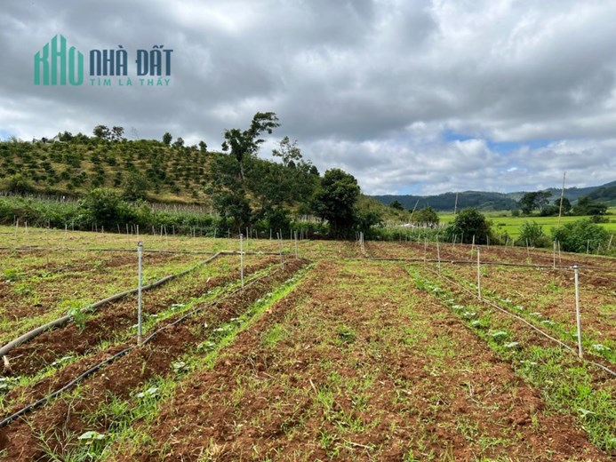 ♨ ♨ Đất nghỉ dưỡng giá rẻ 3850m giá chỉ 2 tỷ có view tháp Kinh Luân lớn nhất Thế giới ♨ ♨