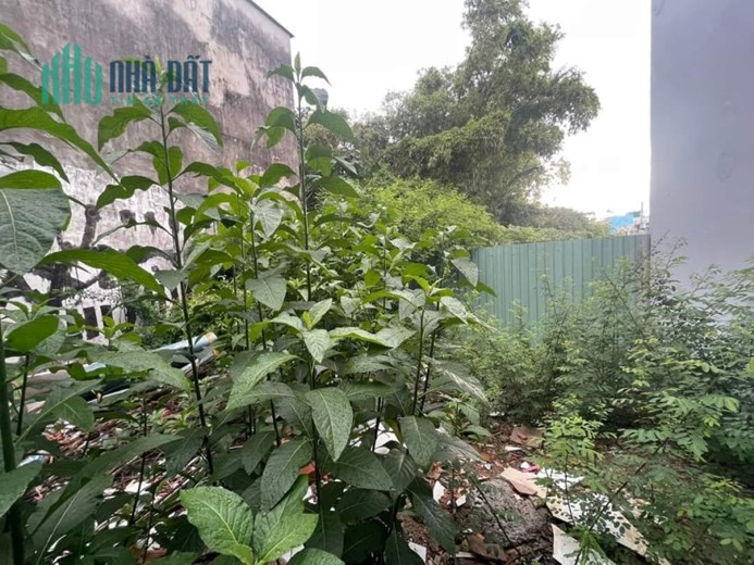 BÁN ĐẤT ĐẸP - CHIẾN LƯỢC - BÌNH TÂN, KẾ TÂN PHÚ, Q.6 - NGANG  8m - HẺM TO THÔNG - 48M2 -  3,3 TỶ