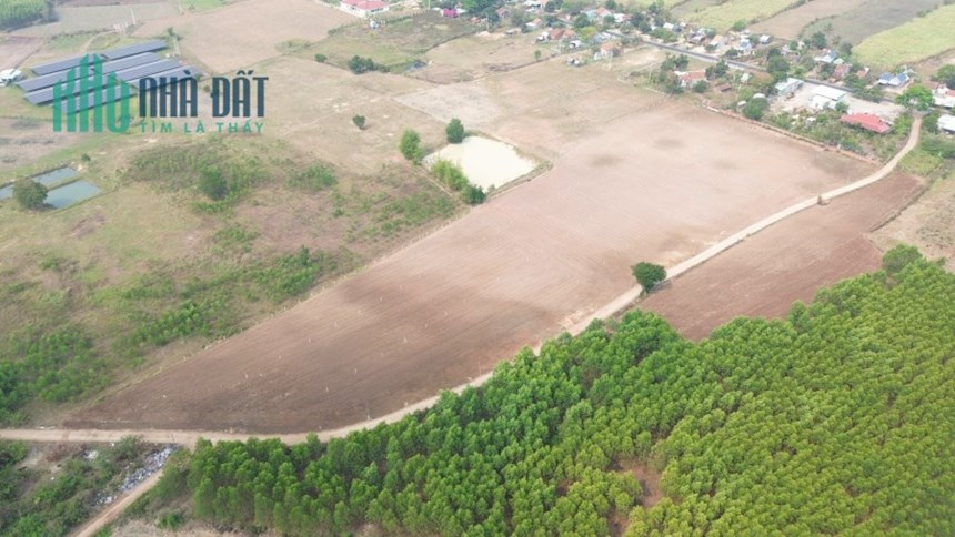 CẦN BÁN LÔ ĐẤT SÁT QUỐC LỘ 19