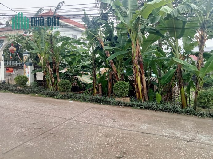 HÀNG ĐẸP CHẤT - MẶT ĐƯỜNG LIÊN HUYỆN  Giá sốc bất ngờ 
- chính chủ cần gấp bán nhanh 126,4m lô góc