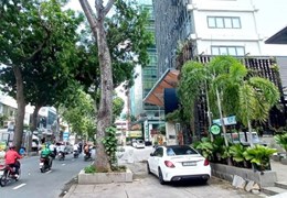 CẦN BÁN GẤP MTKD NGUYỄN ĐÌNH CHIỂU PHƯỜNG ĐAKAO Q1