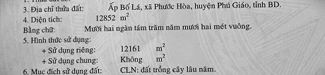 CẦN BÁN ĐẤT TẠI PHƯỚC HÒA-BÌNH DƯƠNG
