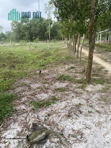 ĐẤT ĐẸP - GIÁ TỐT - Cần Bán Nhanh  Lô Đất tại Xã Vinh An, Huyện Phú Vang, Thừa Thiên Huế
