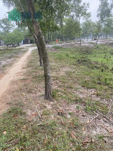 ĐẤT ĐẸP - GIÁ TỐT - Cần Bán Nhanh  Lô Đất tại Xã Vinh An, Huyện Phú Vang, Thừa Thiên Huế