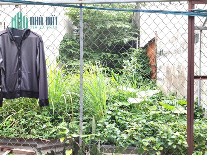 Bán Đất Thổ Cư Đường Số 8, Thủ Đức 62m2_4x15.5m Chỉ Nhỉnh 2 Tỷ Cắt Lỗ Bán Gấp
