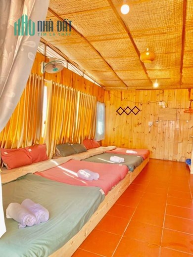 Sang nhượng homestay Nguyễn Đình Chiểu Đà Lạt 500m2