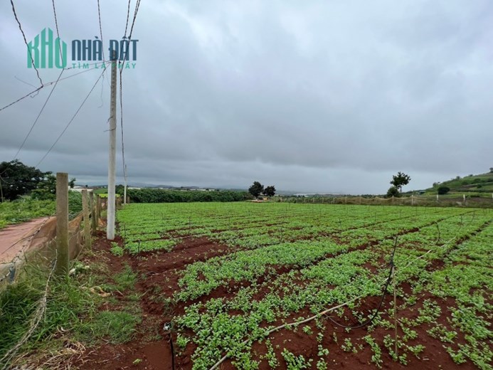 💥 💥 💥 Cơ hội đầu tư tại Đạ Ròn có view tháp Kinh Luân lớn nhất Thế giới 💥 💥 💥