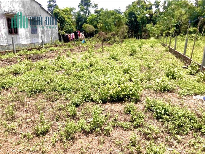 Bán 125m2 đất thôn An Tây, xã Tam Quang, chỉ 850tr. Lh:0975384301