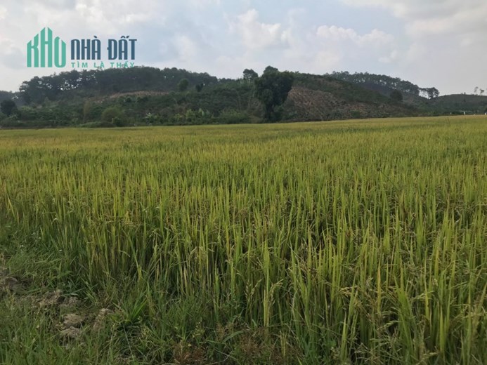 💥💥 Duy nhất tại Tahine, Đức Trọng,  Lâm Đồng