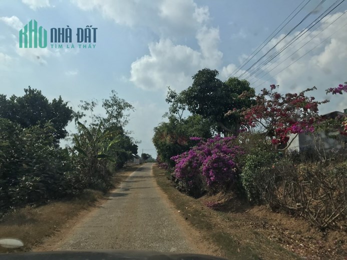 💥💥 Duy nhất tại Tahine, Đức Trọng,  Lâm Đồng