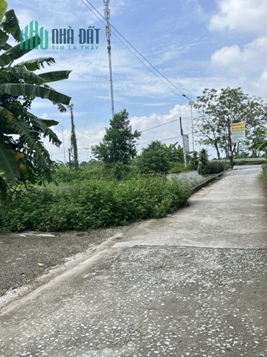 Làn 2 tỉnh lộ 419 khu phát triển tốc độ chóng mặt - ngay trường chương Mỹ A 
- Diện tích 77,5m lô