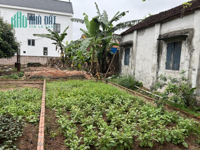 44M2 ĐẤT - Ô TÔ VÀO ĐẤT - ĐỒNG MAI - HÀ ĐÔNG - MT 4.05M - VUÔNG NỞ HẬU 1CM - GIÁ CHỈ 1.38