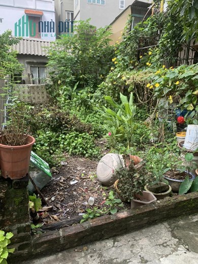 Bán Đất Phúc Lợi , Quận Long Biên , Giá 2.5 tỷ - 48M – MT 3.7M – 10M Ô Tô Tránh .