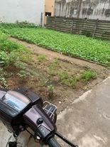 Bán Đất Phúc Lợi , Quận Long Biên , Giá 1.9 tỷ - 30M – MT 4.5M – Ngõ 3 Gác .