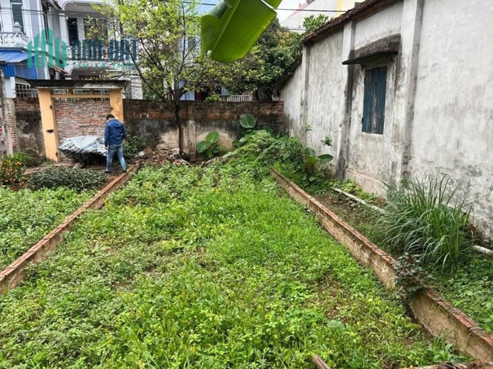 Đất đẹp Hà Đông, 44m2 vuông vắn, ô tô vào đất, chỉ 31.1triệu/m2