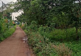 Chính Chủ Bán 185m2 Đất Tặng Nhà Sổ Hồng Riêng Mt Trung Tâm Cẩm Mỹ