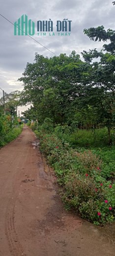 Chính Chủ Bán 185m2 Đất Tặng Nhà Sổ Hồng Riêng Mt Trung Tâm Cẩm Mỹ