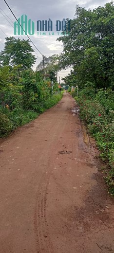 Chính Chủ Bán 185m2 Đất Tặng Nhà Sổ Hồng Riêng Mt Trung Tâm Cẩm Mỹ