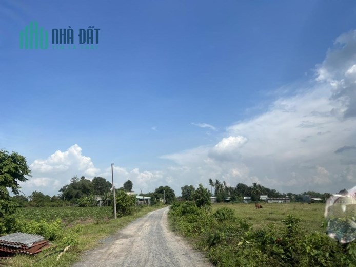 GIÁ CỰC SỐC! CẦN BÁN NHANH LÔ ĐẤT Vị Trí Đắc Địa Tại huyện Dương Minh Châu, tỉnh Tây Ninh