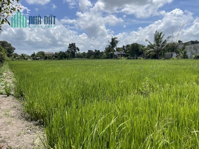 CHÍNH CHỦ CẦN BÁN LÔ ĐẤT ĐẸP MT BÊ TÔNG NGAY ĐƯỜNG NGUYỄN VĂN SIÊU - THANH PHÚ - BẾN LỨC - LONG AN