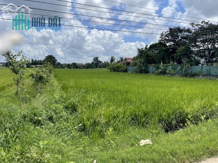 CHÍNH CHỦ CẦN BÁN LÔ ĐẤT ĐẸP MT BÊ TÔNG NGAY ĐƯỜNG NGUYỄN VĂN SIÊU - THANH PHÚ - BẾN LỨC - LONG AN