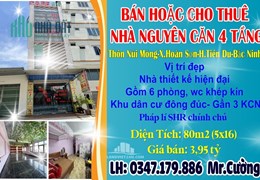 BÁN HOẶC CHO THUÊ NHÀ NGUYÊN CĂN 4 TẦNG THÔN NÚI MÓNG-XÃ HOÀN SƠN-H.TIÊN DU-BẮC NINH