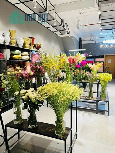 Cần cho thuê SHOPHOUSE khối đế SARIMI, Sala Đại Quang Minh