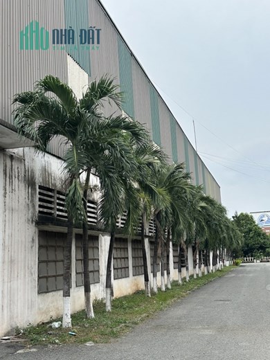 Cho thuê kho chứa hàng tại KCN Biên Hoà 1 - Đường Container vào.