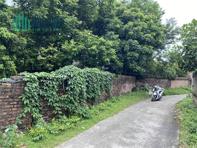 cần bán 352m² thôn Cộng Hòa- Phù Linh- Sóc Sơn- Hn. Đất vuông vắn