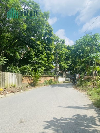 Bán 86,5m2 đất Chân Sơn, Hương Sơn, Bình Xuyên