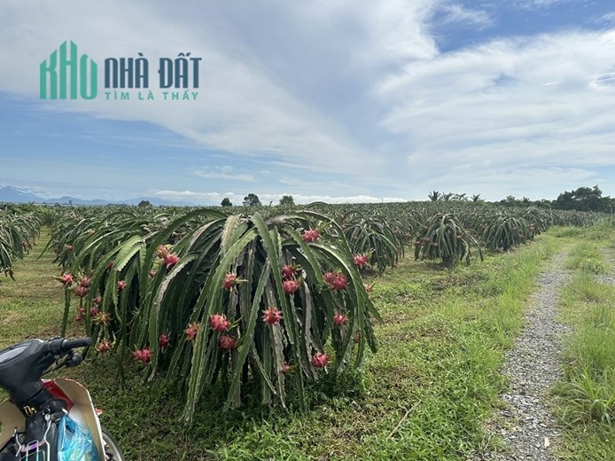 Chính chủ cần bán lô đất tại thôn Phú Sơn , xã Hàm Mỹ , huyện Hàm Thuận Nam , tỉnh Bình Thuận