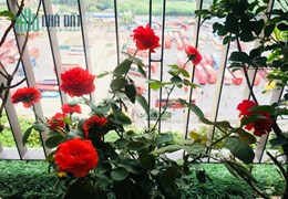 Cần bán gấp căn hộ chung cư Mỹ Đình2 73m2, 2pn2wc, Lh:0965990898