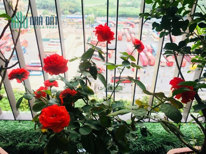 Cần bán gấp căn hộ chung cư Mỹ Đình2 73m2, 2pn2wc, Lh:0965990898