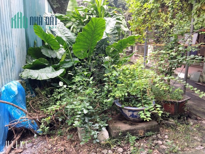 Chính chủ gửi bán đất Biên Giang, Hà Đông, 36m2, gần hồ, đường ô tô giá 1 tỷ