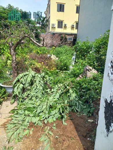 Bán đất siêu rẻ ngõ 201 Phúc Lợi LOng Biên 50m2- 3.1 tỷ