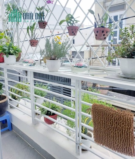Bán Nhà 2 mặt Hẻm Gần Quang Trung 45M2 nhỉnh 3Tỷ7 F12 Gò Vấp