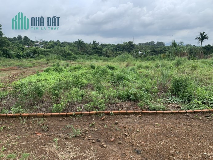 CHỈ CẦN TT 100 TRIỆU ANH CHỊ ĐÃ SỞ HỮU LÔ ĐẤT 100M2
